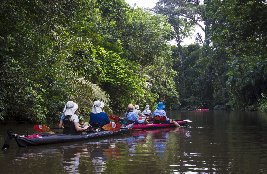 Group Kayaking on Amazon River Tributary